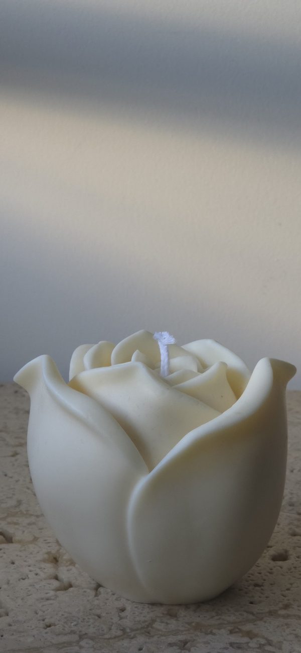 Rose – Image 2
