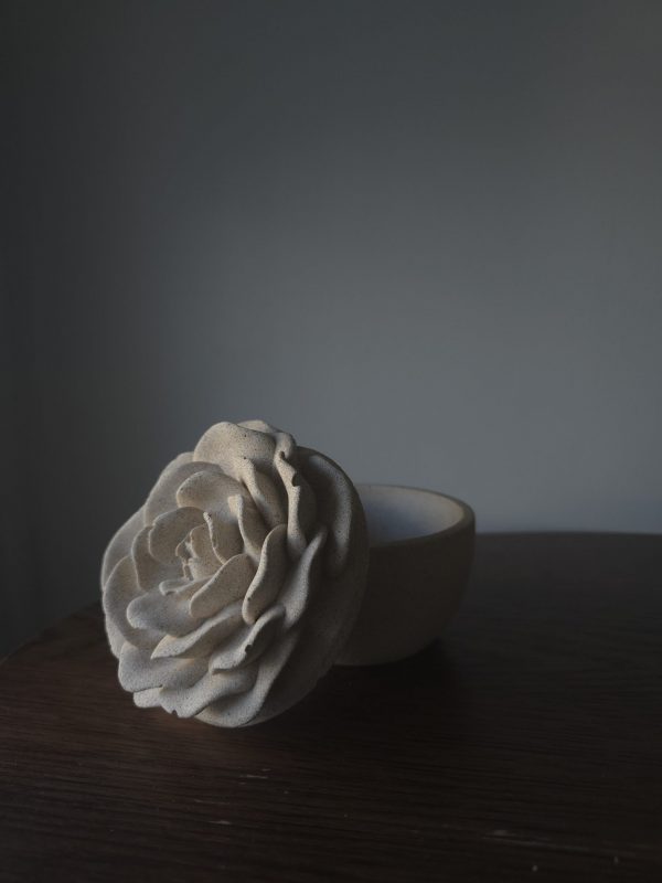 Rose sauvage – Image 2