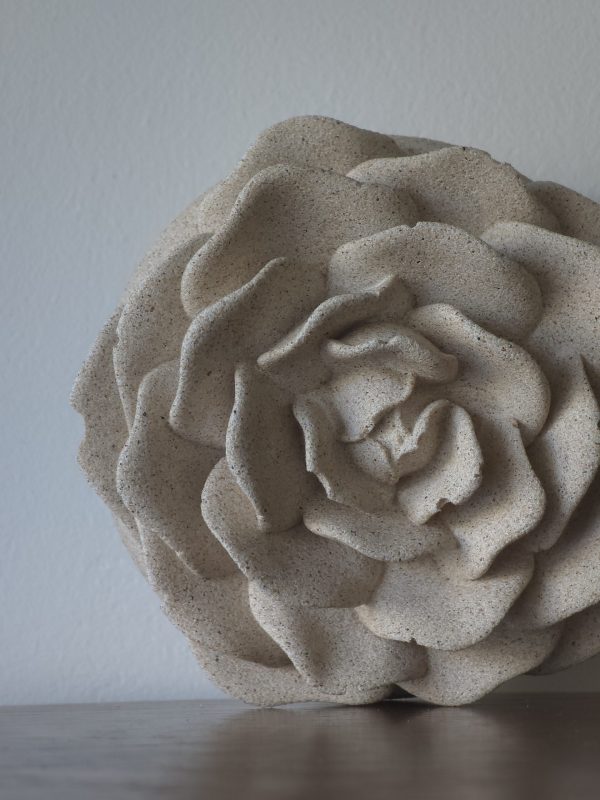 Rose sauvage – Image 3