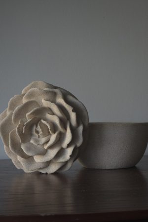 Rose sauvage