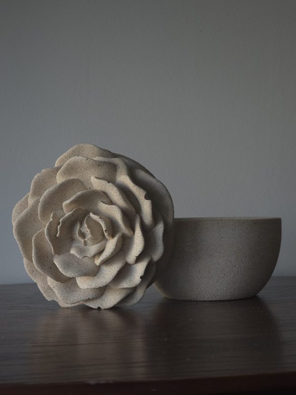 Rose sauvage