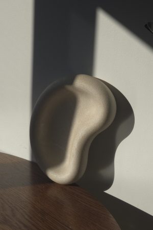 Plateau haricot